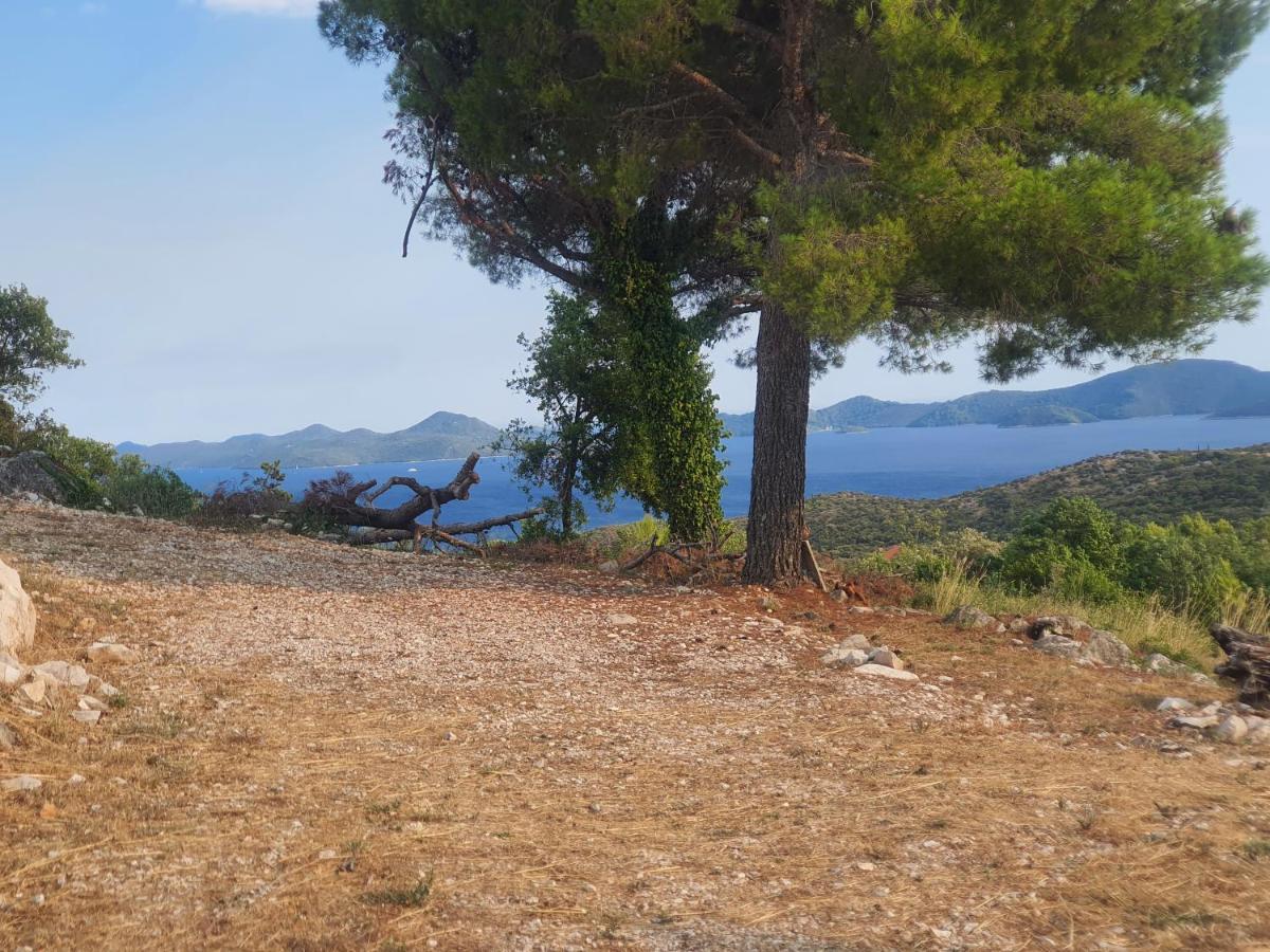 Motel Stone Gardens Doli Dış mekan fotoğraf