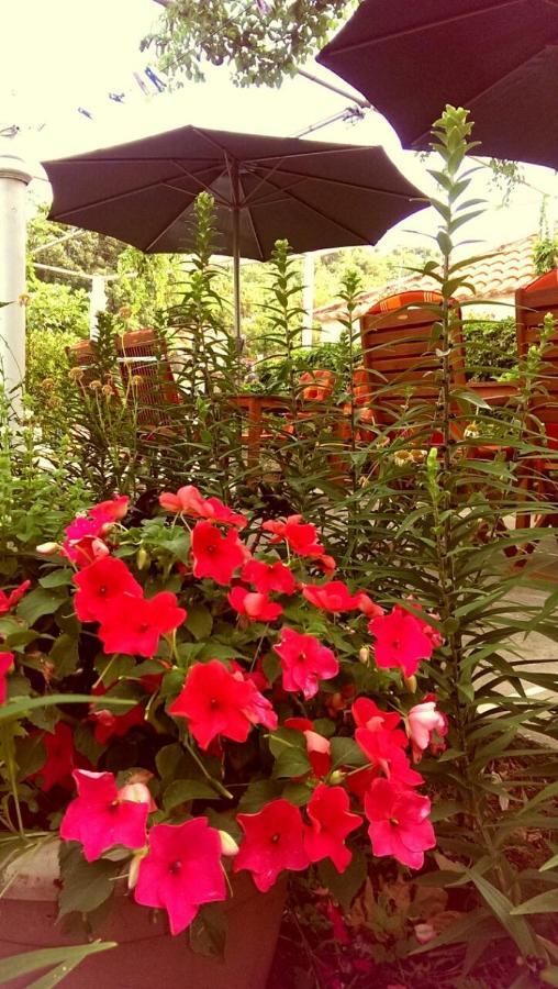 Motel Stone Gardens Doli Dış mekan fotoğraf