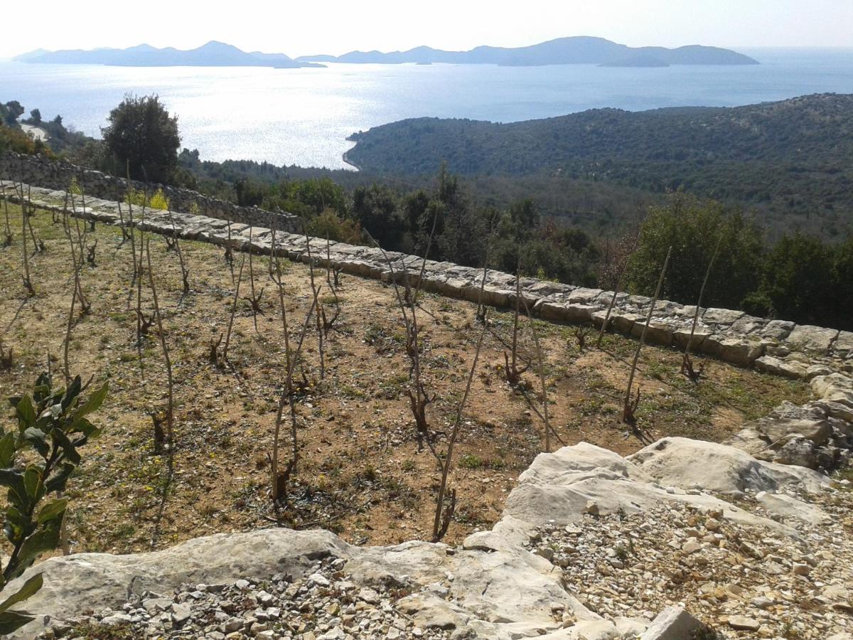 Motel Stone Gardens Doli Dış mekan fotoğraf