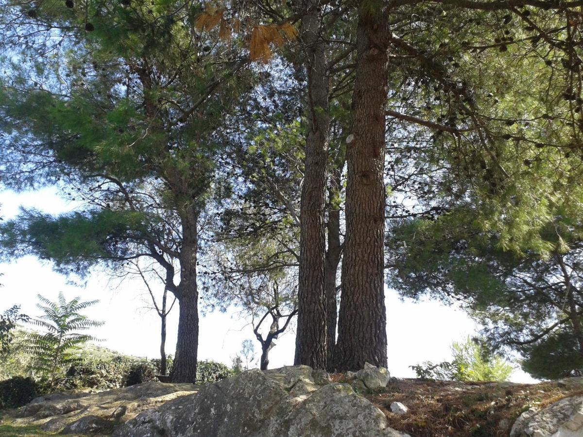 Motel Stone Gardens Doli Dış mekan fotoğraf